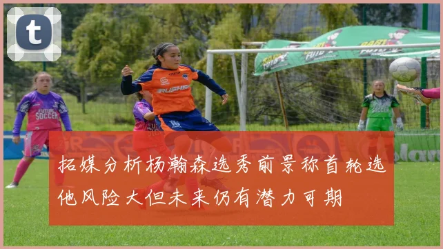 拓媒分析杨瀚森选秀前景称首轮选他风险大但未来仍有潜力可期