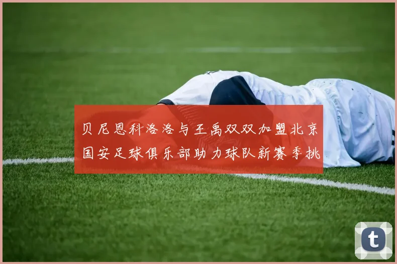 贝尼恩科洛洛与王禹双双加盟北京国安足球俱乐部助力球队新赛季挑战