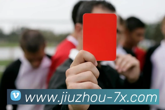未来规划